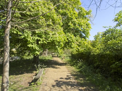 riverside path #3