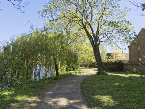 riverside path #1
